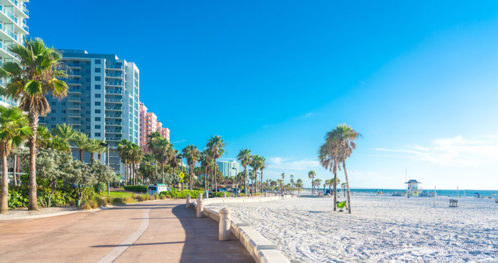 Florida beach with sunshine and palm trees
