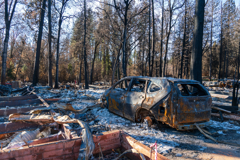 cars burned by wildfire